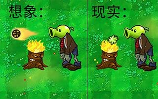 【PVZ】这玩意是怎么做到全国统一的