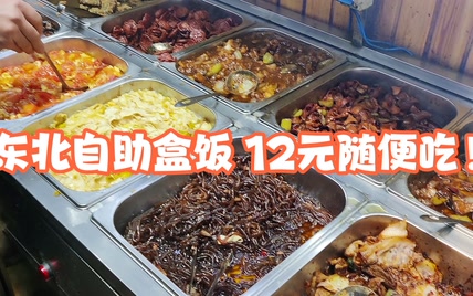 太便宜了！东北自助盒饭，12元一位几十种肉菜、素菜随便吃！