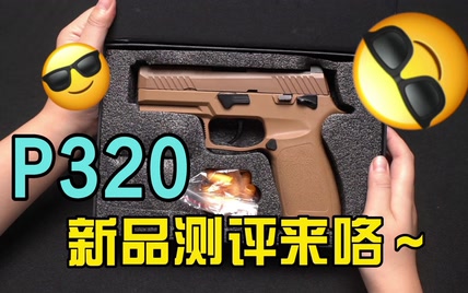  反吹天花板P320，它来啦～