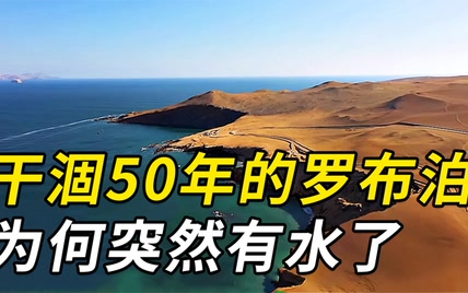 干涸50年的罗布泊，为什么现在水光潋滟？和失踪的彭佳木有关？