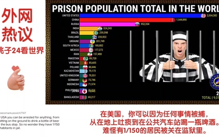 外网看近20年世界各国监狱关押总人数排名，美国网友看完绷不住了