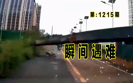 1215期：：电动车主正常行驶，天降横祸，瞬间遇难