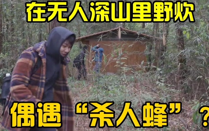 在无人的深山里野炊，偶遇“杀人蜂”？坐火车万里旅行，纵贯中国@木易苏野趣