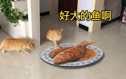 在家里画条鱼，猫看到都馋哭了，哈哈哈