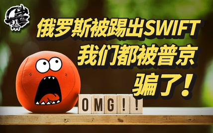 俄罗斯被踢出SWIFT系统，我们都被普京给骗了。|【岩论293期】