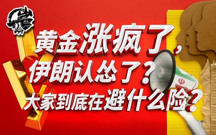 黄金涨疯了，伊朗认怂了？大家到底在避什么险？【岩论427期】