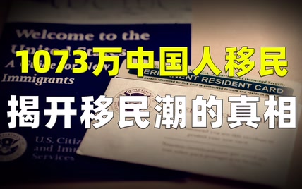 1073万中国人移民，国外的空气都是香甜的，揭开移民潮的真相？