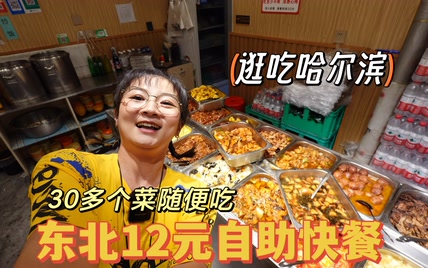 【逛吃哈尔滨】12块钱盒饭自助，30多个菜随便吃，有好多肉菜