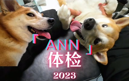 表情包上线！安安2023体检