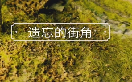 【微缩老巷Ⅳ】徒手做一片废弃的小楼街角（连砖缝和地面杂草都那么逼真