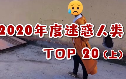 【每日平安】2020年度迷惑警情（上）