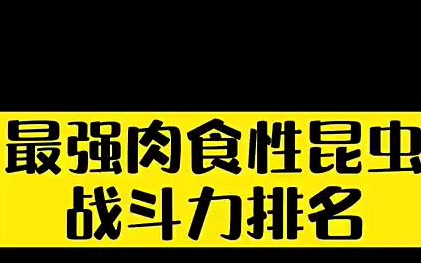 头头是道！肉食昆虫单体战斗力排名!