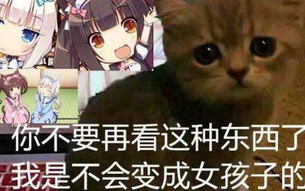 《 猫 的 报 恩 》