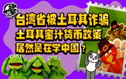 当诈骗岛被诈骗。为什么土耳其敢怼天怼地怼空气？【岩论278期】